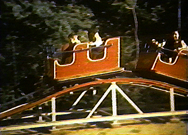 Nunley's roller coaster